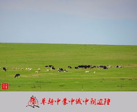 老驥伏櫪，志在千里 單騎穿越中蒙、中俄、中朝邊陲游記與攻略